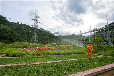 Video: Công ty Thủy điện Bản Vẽ với phương châm Xanh - Sạch - Đẹp - An toàn tại nơi làm việc