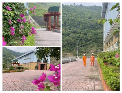 Công viên xanh giữa lòng thuỷ điện Bản Vẽ