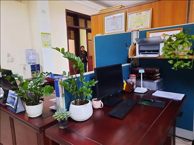 Vườn cây trong phòng làm việc - Phòng Kế hoạch và Vật tư Công ty Thuỷ điện Bản Vẽ