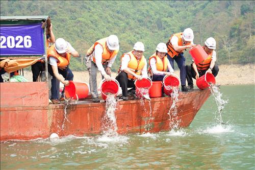 Công ty Thuỷ điện Bản Vẽ tổ chức trồng cây, thả cá giống và tặng quà cho học sinh xã Yên Na